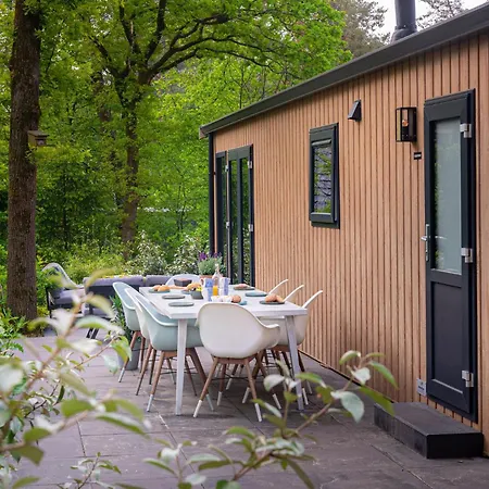 Chalet Goudvink Veluwe Nunspeet